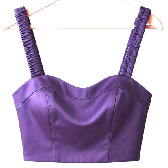 BLUE BLUSH Purple Block Him Satin Crop Top Size Small Bustier Y2K Party Bralette - Picture 1 of 10